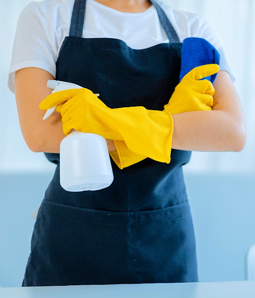 House Cleaning Services in Florida